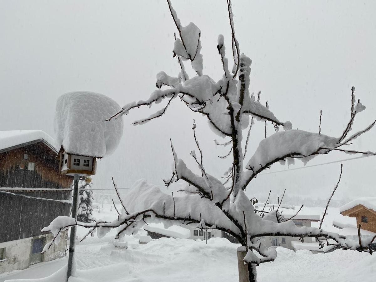Haus Fischer Pettneu am Arlberg Dış mekan fotoğraf